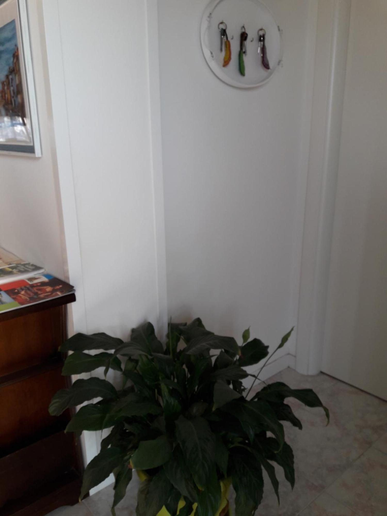 B&B A Un Passo Da Casale sul Sile Exteriér fotografie